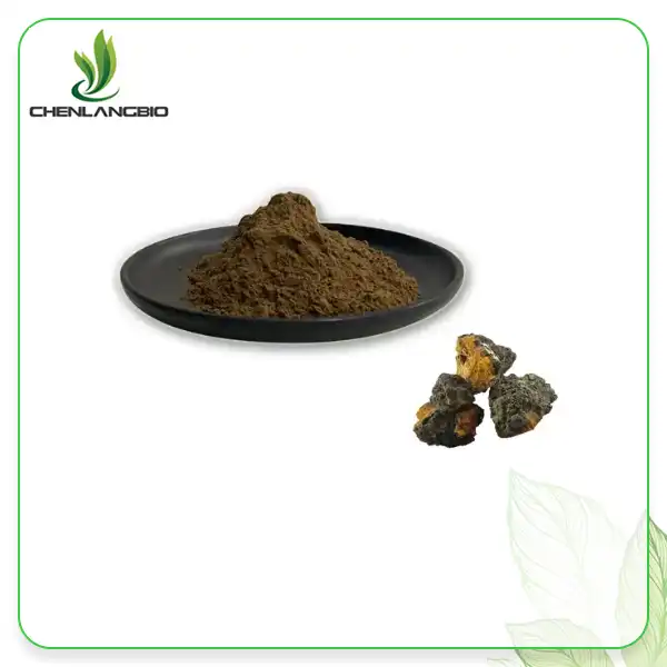 Chaga Mushroom Extract Powder